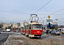 445109.webp
