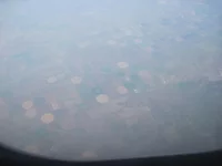 IMG_0834.webp