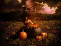 x_4b12297b.webp