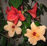 IMG_2608 1.jpg