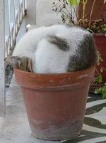 20122604144905.jpg
