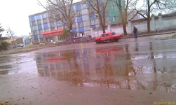 IMAG0512[1].webp