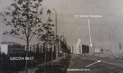 02.webp
