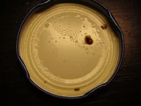 DSCN9707.webp