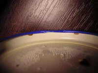 DSCN9708.webp
