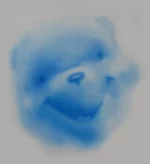 vin.webp