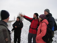 IMG_7904.jpg