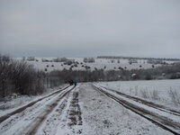 IMG_7911.jpg