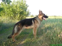 DSC03050.webp