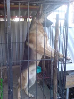 DSC03071.webp
