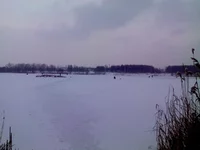 IMG00123.webp