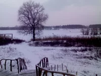 IMG00124.webp