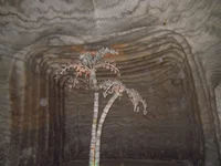 DSCN2795.webp