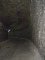 DSCN2781.webp