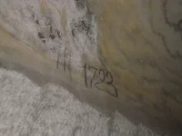 DSCN2787.webp