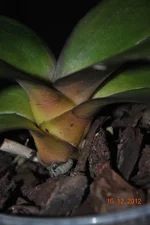 DSC_0107.jpg