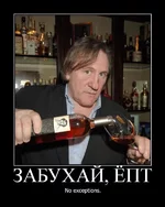 T5.webp