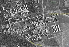 1941-Жуки.webp