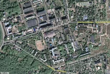 2010-Жуки.webp