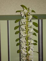 PC210142.jpg