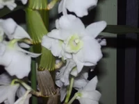 PC210145.webp