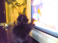 08102007(003).webp