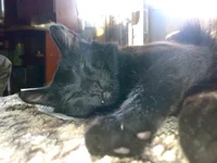02042008262.webp