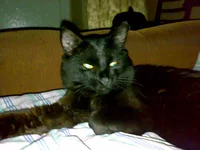 08052008711.webp