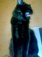 30052008849.webp