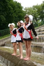 3.webp