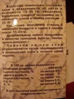 DSC00981.webp