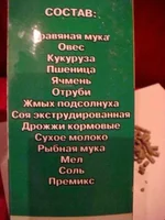 DSC00980.webp