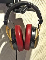 dt99032manu4gj8.webp