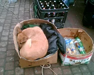 004.webp