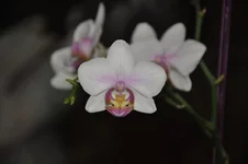 DSC_8641.jpg