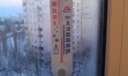 IMAG0635.webp