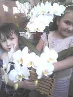 IMG_20121216_115201.webp