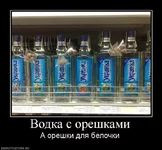 33393_vodka-s-oreshkami.webp