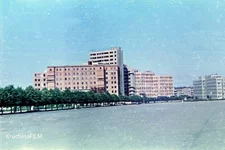 205.webp