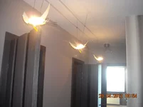 DSCN6735.webp