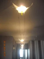 DSCN6745.webp
