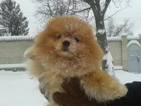 2012-12-25 13.49.26.webp