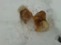 2012-12-25 13.50.10.webp