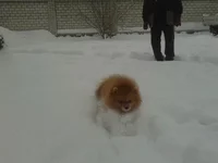 2012-12-25 13.50.46.webp