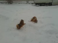 2012-12-25 13.56.51.webp