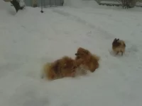 2012-12-25 13.57.08.webp