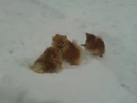 2012-12-25 13.57.15.webp