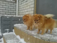 2012-12-25 13.58.01.webp