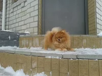 2012-12-25 13.58.12.webp