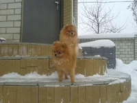 2012-12-25 14.00.35.webp